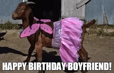 50+ Outstanding Cute Birthday Memes For Boyfriend Memes Idea