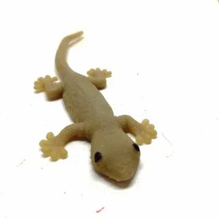 Good Reptile Pets For Toddlers