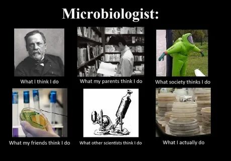 Medical Laboratory and Biomedical Science: Microbiologist Me