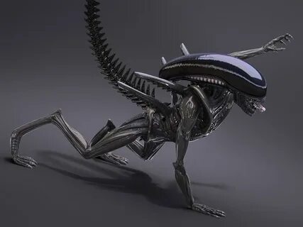 Alien Xenomorph - 3D Model by SQUIR