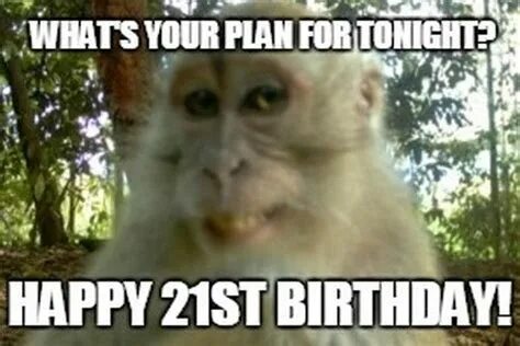 Monkey birthday Memes