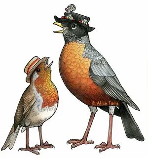 Robin Couple in Hats A4 Birds in Hats Print European Robin E