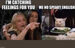 woman yelling at cat Memes - Imgflip