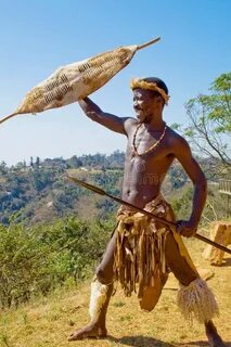 African warrior. A young south african zulu tribe man warrio