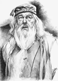 Albus Dumbledore Harry potter art drawings, Harry potter ske