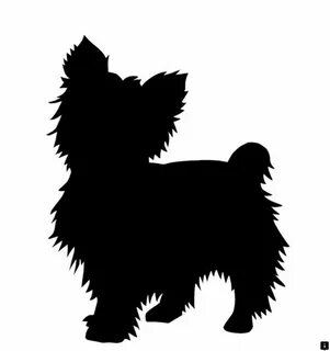 Check out the webpage to read more about yorkie poo. Simply 