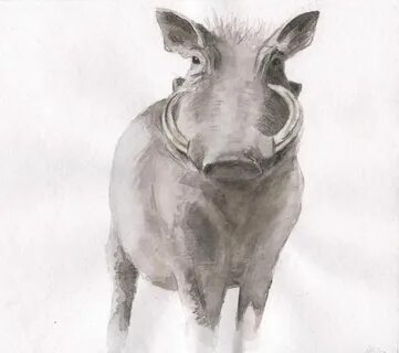 Warthog Watercolor Painting. Hog Painting. Warthog Etsy Wate