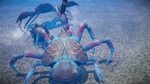 Fight Crab coming soon to Nintendo Switch - NinMobileNews
