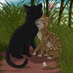 Pin on warrior cats