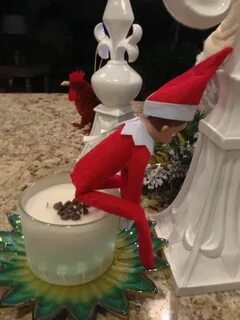 elf on the shelf humor Elf on the shelf, Elf antics, The elf