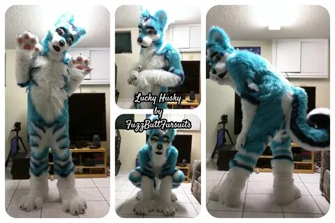 Lucky Husky Full Suit - Weasyl