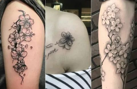 Cherry Blossom Tattoo: Meaning, Designs, Ideas and Much More