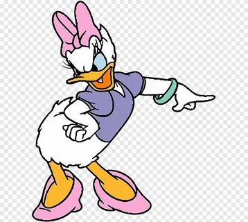 Download Gratis Daisy Duck Beak Goose Bird, bebek, hewan, ve