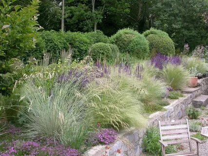 Flickr Grasses landscaping, Backyard landscaping, Landscape 