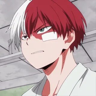 Todoroki Shōto Аниме Amino Amino