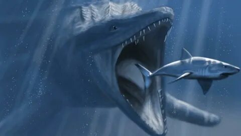 Mosasaurus Wallpapers - Wallpaper Cave