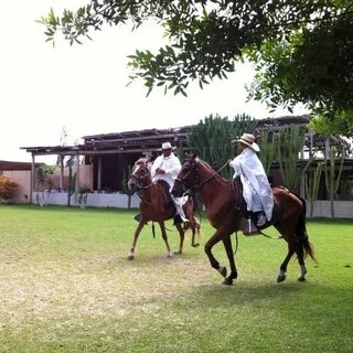 El Tambo De Los Muchiks (Finca caballos ta paso) - Campiña d