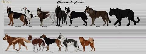 Wolf Vs. Dog Size Comparison