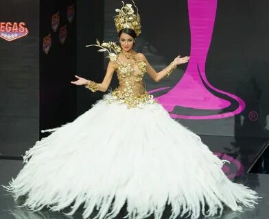 Miss Argentina beautiful gown Miss universe national costume