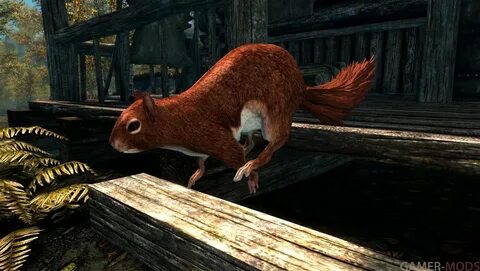 Белки (SE) Squirrels SSE - Существа - TES V: Skyrim SE-AE - 