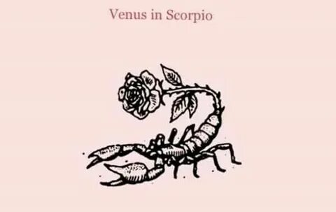 Venus in Scorpio Venus astrology, Zodiac posts, Scorpio