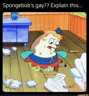 Spongebob's gay?? Explain this.