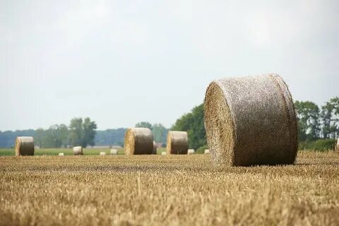 Page 3 straw straw bales 1080P, 2K, 4K, 5K HD wallpapers fre