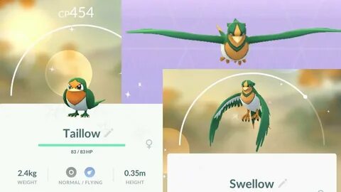 Evolving Shiny Taillow to Shiny Swellow - Pokemon Go - YouTu