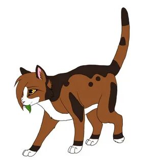 Spottedleaf cat walk cycle by Taravia on deviantART Warrior 