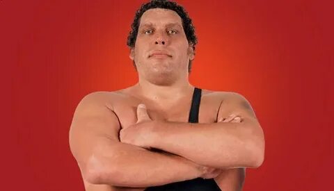 Andre The Giant Eighth Wonder Of The World WWE Legend