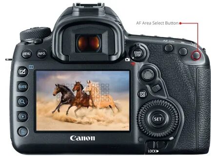 pagare Psichiatria apparire canon 5ds vs 5dsr vs 5d mark iv 