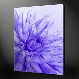 Purple Flower Painting Canvas at PaintingValley.com Explore 