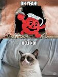 HEY KOOL AID - "OH YEAH!" Grumpy Cat Grumpy cat, Funny coupl