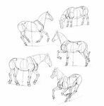 SketchBook Original: How to Draw Horses - Monika Zagrobelna