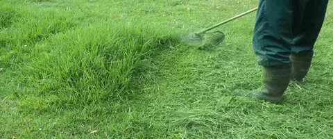 Гифка трава газон gras гиф картинка, скачать анимированный g
