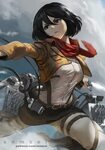 Mikasa Ackerman - Attack on Titan - Image #2708045 - Zerocha