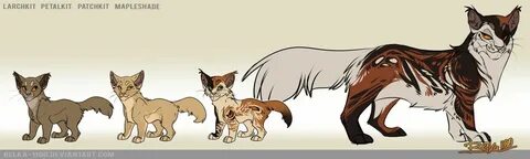 Mapleshade's kits by Belka-1100.deviantart.com on @DeviantAr