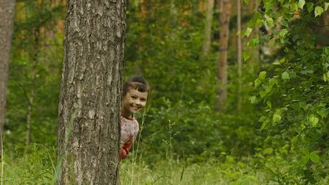 Free photo: Behind the Tree - Activity, Forest, Girl - Free 