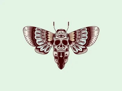 Hawk Moth by Loïc Le Gars on Dribbble