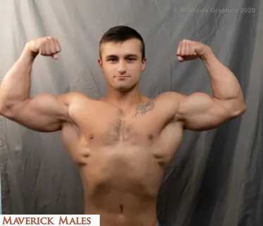 Maverick Males Videos Bodybuilder Valentino