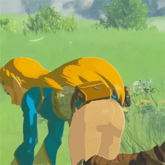 Zelda BOTW Better things to do than pick flowers... - GIF on