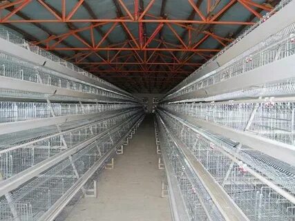 Fully Galvanized Imported Poultry Cages. Call 08132380951 To