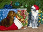 Скачать обои животные, такса и кот, Рождество, подарки, Pers
