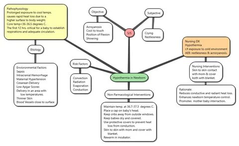 Hypothermia in Newborn Concept Map Concept map, Nursing inst