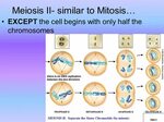 Have your compare & contrast mitosis & meiosis ws out on the