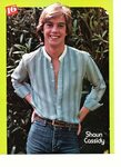 Shaun Cassidy teen magazine pinup clipping and 50 similar it