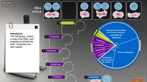 AC Biology: The Cell Cycle and Mitosis for Windows 10