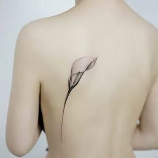 x ray lilly - Google Search Calla lily tattoos, Lily flower 