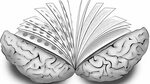 Darth Dawkins thinks minds are books - YouTube