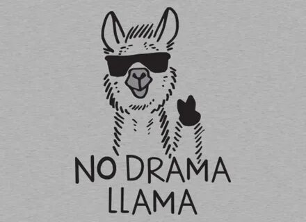 No Drama Llama from SnorgTees Day of the Shirt